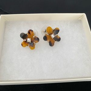 Tortoise shell Earnings